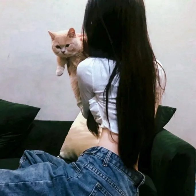 寻梦好莱坞 封面