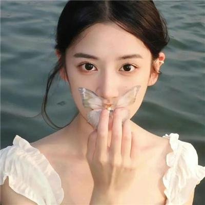 沈总你养的金丝雀变凤凰了